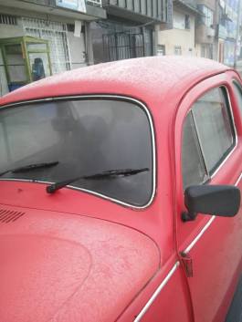 13607050_1137135529685612_3850022435633392222_n