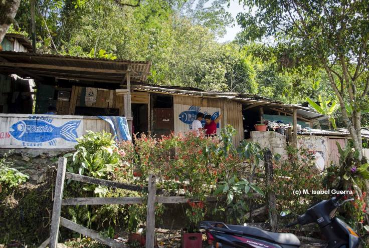 13909337_1089109397846728_4684919101547945346_o